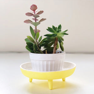 yellow speckled legged porcelain catchall photo with small plant